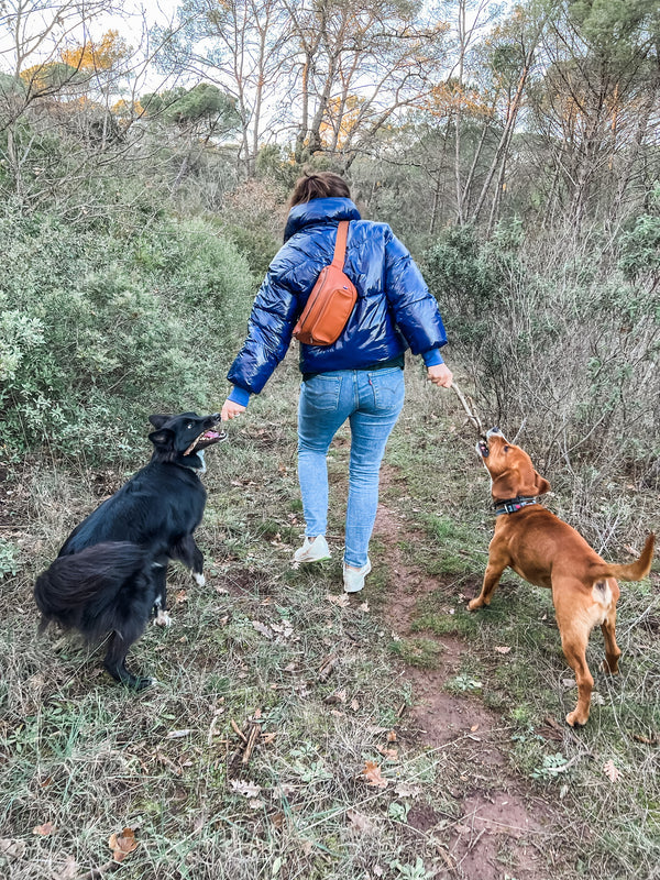 Woman Wearing Blue Coat Hiking with Dogs
