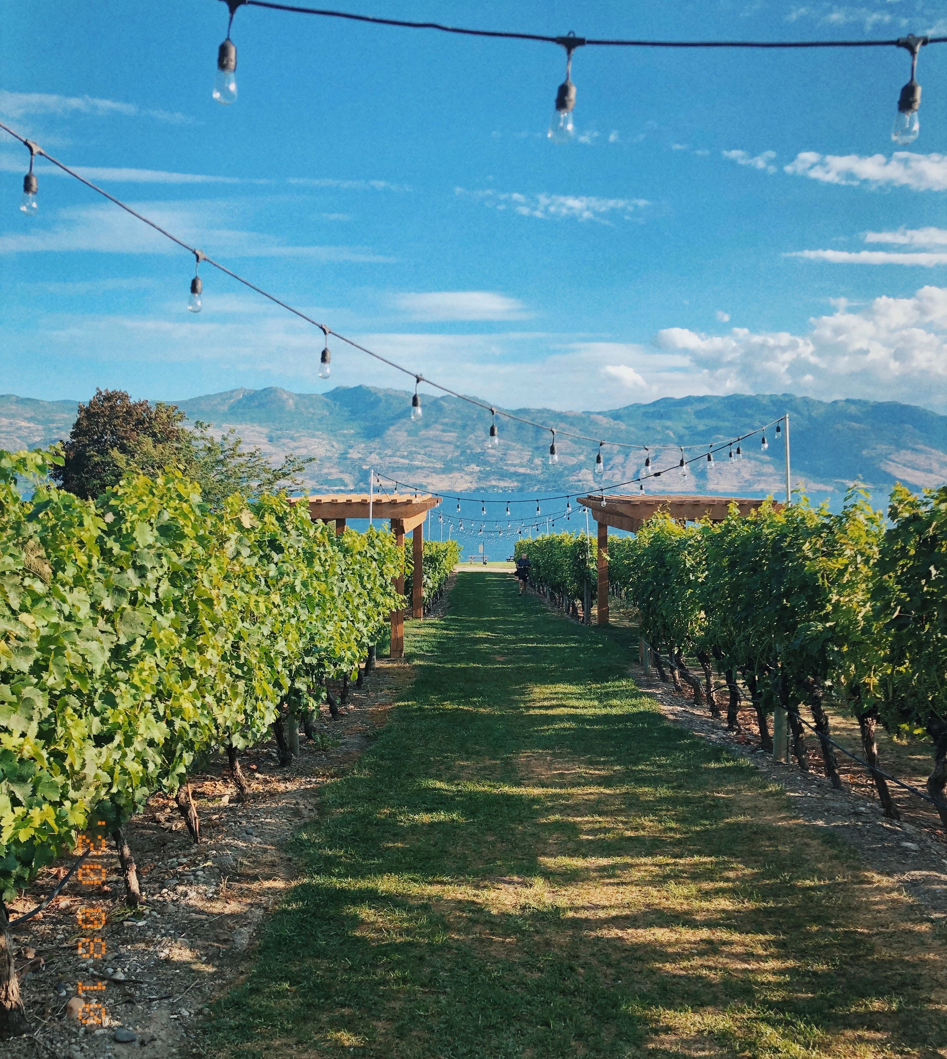 Travel Diaries: Kelowna, British Columbia, Canada