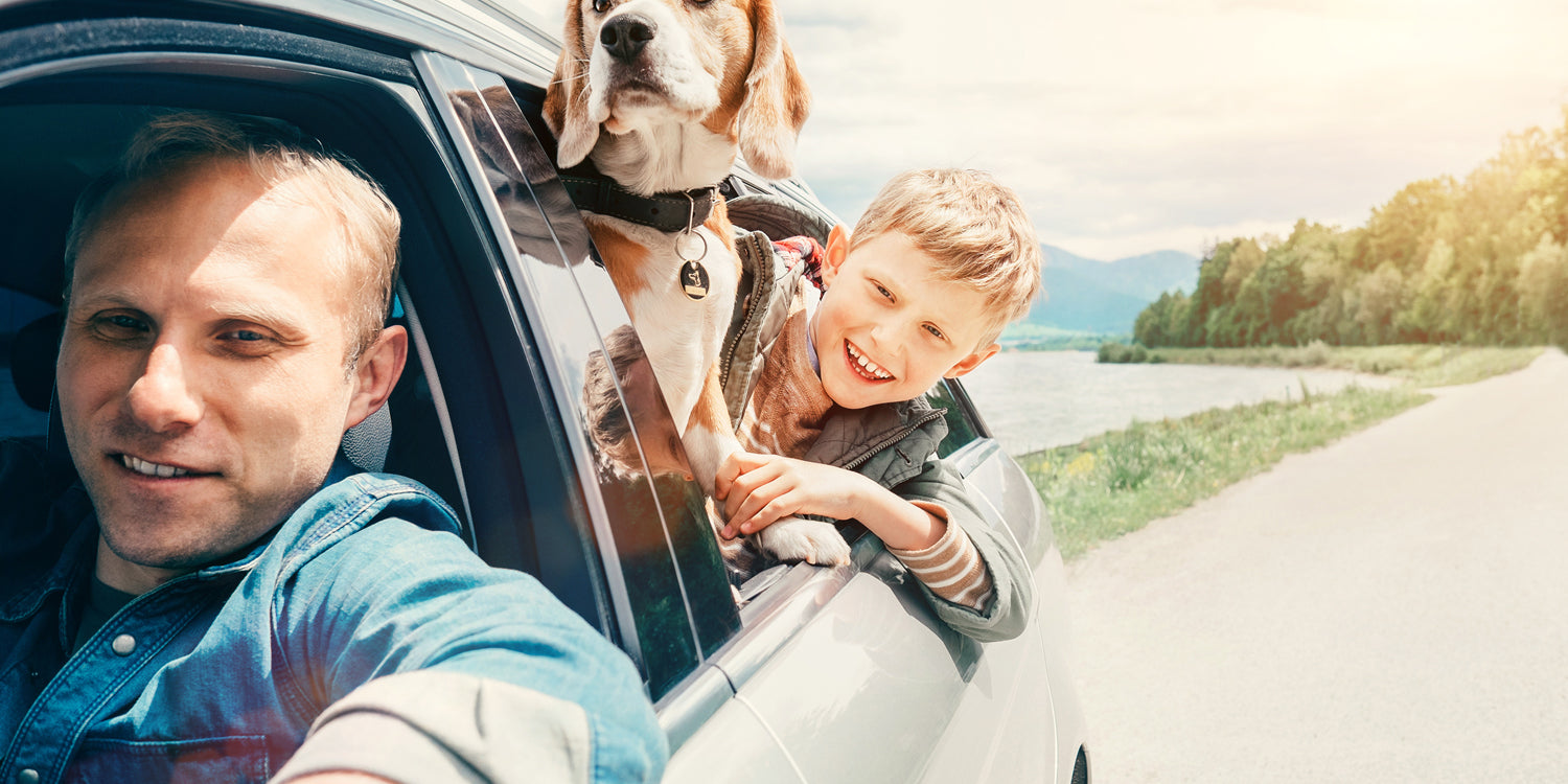 Top Tips for Traveling with your Pet 2022