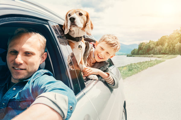 Top Tips for Traveling with your Pet 2022