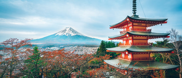 Travel Diaries: Japan - A Conversation with Megumi Oshiba