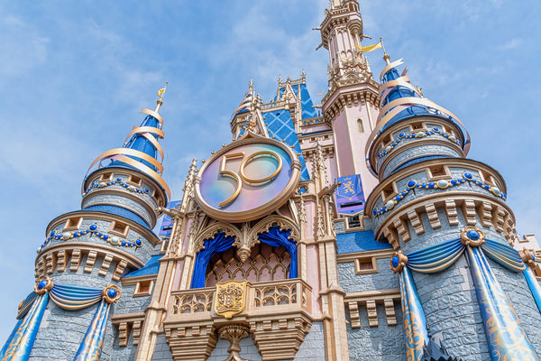 Travel Diaries: Disney World with Aseky Bonnaire