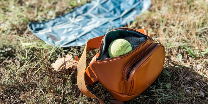 Dog Walking Crossbody Bag with Essentials