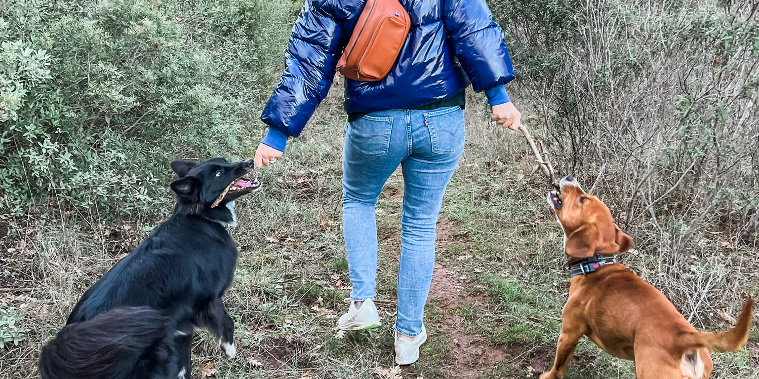 Woman Wearing Blue Coat Hiking with Dogs