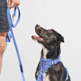 Poop Bag Dispenser